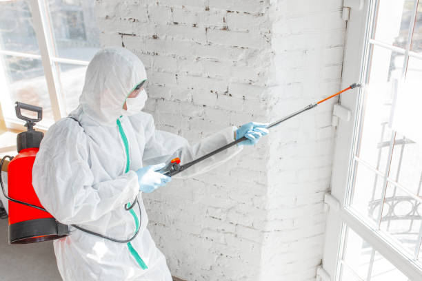 Mold Remediation for Rental Properties in Ellisburg, NJ